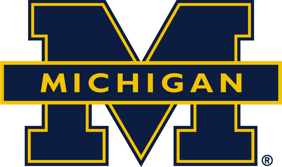 Michigan Wolverines 2016-Pres Secondary Logo v3 DIY iron on transfer (heat transfer)